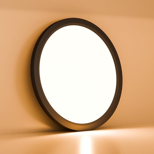 LQWELL® Ceiling Light LED Ceiling Lamp, IP44 Waterproof Bathroom Lamp Round Flat 18W 3000K 1600LM Modern Simple Lamp Thin for Living Room Bathroom Bedroom Kitchen Basement Office, 220 * 24mm (Black)