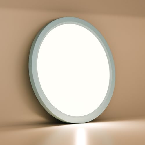 LQWELL® Ceiling Light LED Ceiling Lamp, IP44 Waterproof Bathroom Lamp Round Flat 18W 4000K 1600LM Modern Simple Lamp Thin for Living Room Bathroom Bedroom Kitchen Basement Office, 220 * 24mm (Blue)