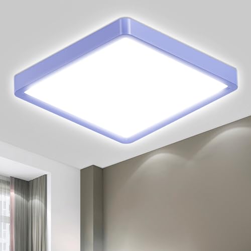 LQWELL® Ceiling Light LED Ceiling Lamp, IP44 Waterproof Bathroom Lamp Square Flat 23W 6000K 2400LM Modern Simple Lamp Thin for Living Room Bathroom Bedroom Kitchen Balcony Basement Office, 300 * 25mm