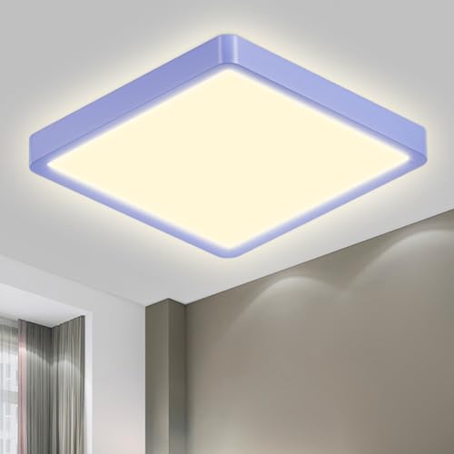 LQWELL® Deckenleuchte LED Deckenlampe, IP44 Wasserfest Badlampe Quadrat Flach 23W 4000K 2400LM Modern Schlicht Lampe Dünn für Wohnzimmer Badezimmer Schlafzimmer Küche Balkon Keller Büro, 300 * 25mm