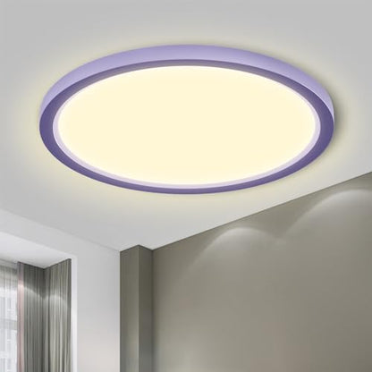 LQWELL® Ceiling Light LED Ceiling Lamp, IP44 Waterproof Bathroom Lamp Round Flat 23W 3000K 2400LM Modern Simple Lamp Thin for Living Room Bathroom Bedroom Kitchen Balcony Basement Office, 300 * 25mm