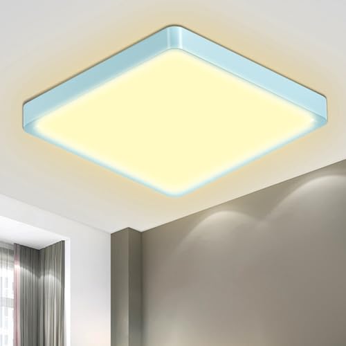 LQWELL® Deckenleuchte LED Deckenlampe, IP44 Wasserfest Badlampe Quadrat Flach 23W 3000K 2400LM Modern Schlicht Lampe Dünn für Wohnzimmer Badezimmer Schlafzimmer Küche Balkon Keller Büro, 300 * 25mm