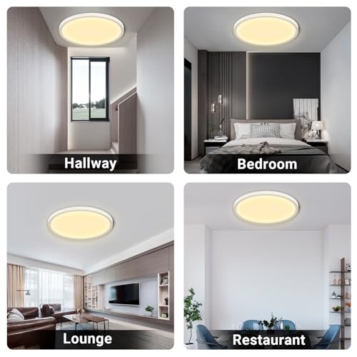 LQWELL® Deckenleuchte LED Deckenlampe, IP44 Wasserfest Badlampe Rund Flach 24W 3000K 2400LM Modern Schlicht Lampe Dünn für Wohnzimmer Badezimmer Schlafzimmer Küche Balkon Keller Büro, 300 * 25mm