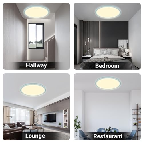 LQWELL® Ceiling Light LED Ceiling Lamp, IP44 Waterproof Bathroom Lamp Round Flat 18W 3000K 1600LM Modern Simple Lamp Thin for Living Room Bathroom Bedroom Kitchen Balcony Basement Office, 220 * 24mm
