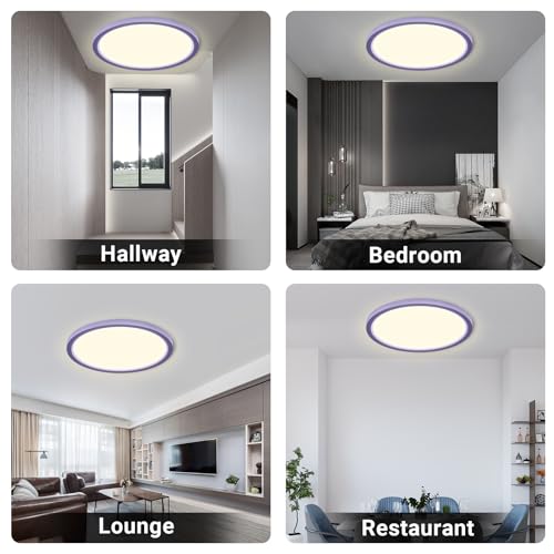 LQWELL® Ceiling Light LED Ceiling Lamp, IP44 Waterproof Bathroom Lamp Round Flat 18W 4000K 1600LM Modern Simple Lamp Thin for Living Room Bathroom Bedroom Kitchen Balcony Basement Office, 220 * 24mm