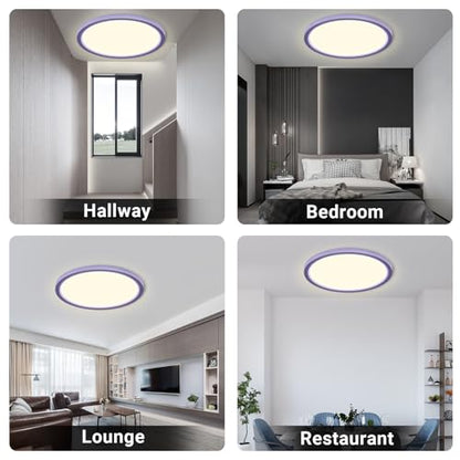 LQWELL® Ceiling Light LED Ceiling Lamp, IP44 Waterproof Bathroom Lamp Round Flat 18W 4000K 1600LM Modern Simple Lamp Thin for Living Room Bathroom Bedroom Kitchen Balcony Basement Office, 220 * 24mm