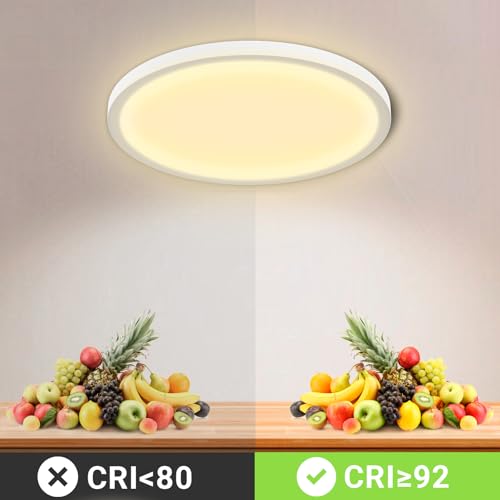 LQWELL® Deckenleuchte LED Deckenlampe, IP44 Wasserfest Badlampe Rund Flach 24W 3000K 2400LM Modern Schlicht Lampe Dünn für Wohnzimmer Badezimmer Schlafzimmer Küche Balkon Keller Büro, 300 * 25mm