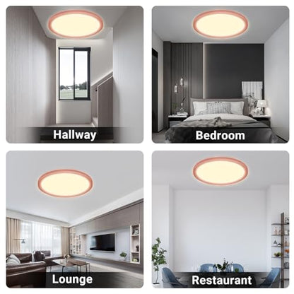 LQWELL® Ceiling Light LED Ceiling Lamp, IP44 Waterproof Bathroom Lamp Round Flat 18W 3000K 1600LM Modern Simple Lamp Thin for Living Room Bathroom Bedroom Kitchen Balcony Basement Office, 220 * 24mm