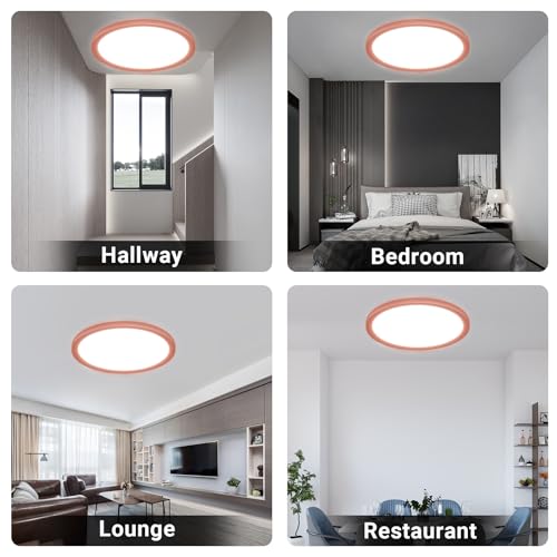 LQWELL® Ceiling Light LED Ceiling Lamp, IP44 Waterproof Bathroom Lamp Round Flat 18W 6000K 1600LM Modern Simple Lamp Thin for Living Room Bathroom Bedroom Kitchen Balcony Basement Office, 220 * 24mm