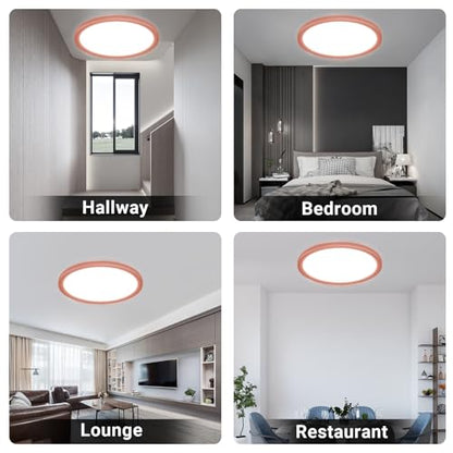 LQWELL® Ceiling Light LED Ceiling Lamp, IP44 Waterproof Bathroom Lamp Round Flat 18W 6000K 1600LM Modern Simple Lamp Thin for Living Room Bathroom Bedroom Kitchen Balcony Basement Office, 220 * 24mm