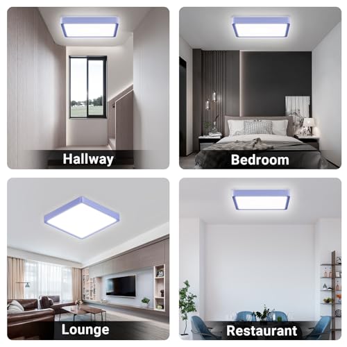 LQWELL® Ceiling Light LED Ceiling Lamp, IP44 Waterproof Bathroom Lamp Square Flat 18W 6000K 1600LM Modern Simple Lamp Thin for Living Room Bathroom Bedroom Kitchen Hallway Basement Office, 220 * 24mm