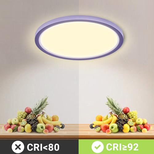 LQWELL® Ceiling Light LED Ceiling Lamp, IP44 Waterproof Bathroom Lamp Round Flat 18W 3000K 1600LM Modern Simple Lamp Thin for Living Room Bathroom Bedroom Kitchen Balcony Basement Office, 220 * 24mm