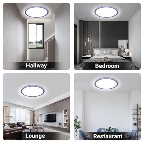 LQWELL® Ceiling Light LED Ceiling Lamp, IP44 Waterproof Bathroom Lamp Round Flat 18W 6000K 1600LM Modern Simple Lamp Thin for Living Room Bathroom Bedroom Kitchen Balcony Basement Office, 220 * 24mm