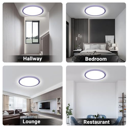 LQWELL® Ceiling Light LED Ceiling Lamp, IP44 Waterproof Bathroom Lamp Round Flat 18W 6000K 1600LM Modern Simple Lamp Thin for Living Room Bathroom Bedroom Kitchen Balcony Basement Office, 220 * 24mm