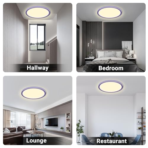 LQWELL® Ceiling Light LED Ceiling Lamp, IP44 Waterproof Bathroom Lamp Round Flat 18W 3000K 1600LM Modern Simple Lamp Thin for Living Room Bathroom Bedroom Kitchen Balcony Basement Office, 220 * 24mm