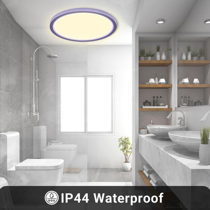 LQWELL® Ceiling Light LED Ceiling Lamp, IP44 Waterproof Bathroom Lamp Round Flat 23W 3000K 2400LM Modern Simple Lamp Thin for Living Room Bathroom Bedroom Kitchen Balcony Basement Office, 300 * 25mm