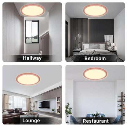 LQWELL® Ceiling Light LED Ceiling Lamp, IP44 Waterproof Bathroom Lamp Round Flat 23W 3000K 2400LM Modern Simple Lamp Thin for Living Room Bathroom Bedroom Kitchen Balcony Basement Office, 300 * 25mm