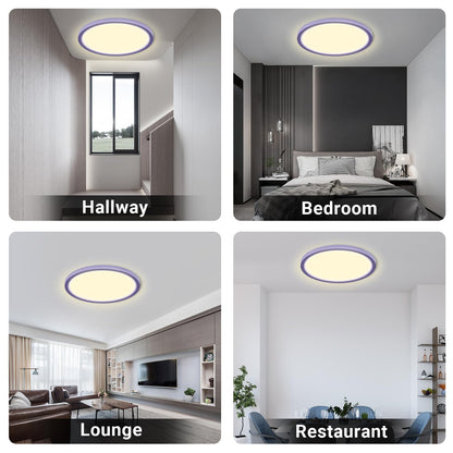 LQWELL® Ceiling Light LED Ceiling Lamp, IP44 Waterproof Bathroom Lamp Round Flat 23W 3000K 2400LM Modern Simple Lamp Thin for Living Room Bathroom Bedroom Kitchen Balcony Basement Office, 300 * 25mm