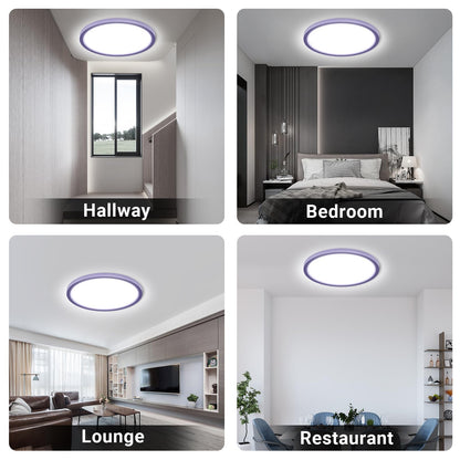 LQWELL® Ceiling Light LED Ceiling Lamp, IP44 Waterproof Bathroom Lamp Round Flat 23W 6000K 2400LM Modern Simple Lamp Thin for Living Room Bathroom Bedroom Kitchen Balcony Basement Office, 300 * 25mm
