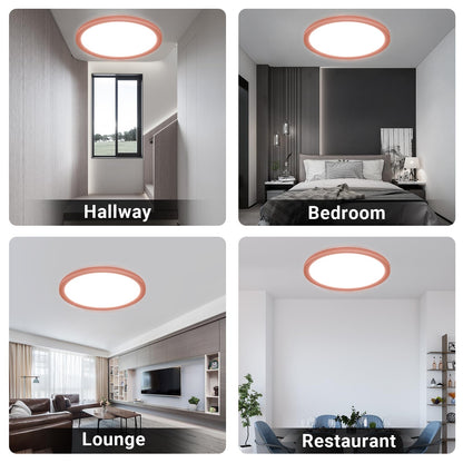 LQWELL® Ceiling Light LED Ceiling Lamp, IP44 Waterproof Bathroom Lamp Round Flat 23W 6000K 2400LM Modern Simple Lamp Thin for Living Room Bathroom Bedroom Kitchen Balcony Basement Office, 300 * 25mm