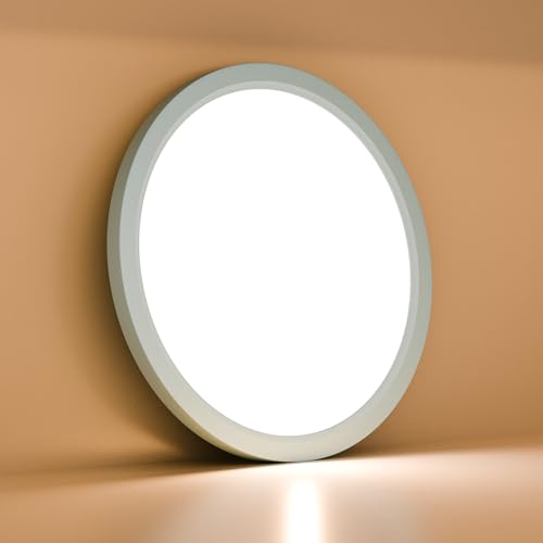 LQWELL® Ceiling Light LED Ceiling Lamp, IP44 Waterproof Bathroom Lamp Round Flat 18W 3000K 1600LM Modern Simple Lamp Thin for Living Room Bathroom Bedroom Kitchen Basement Office, 220 * 24mm (Blue)