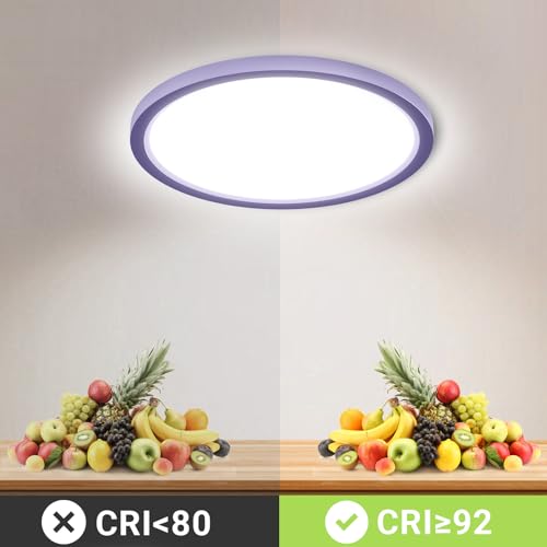 LQWELL® LED Ceiling Light, IP44 Waterproof, Round Flat Bathroom Light, 18W, 6000K, 1600lm, Modern Simple Thin Lamp for Living Room, Bathroom, Bedroom, Kitchen, Basement, Office, 220 x 24 mm (Purple)