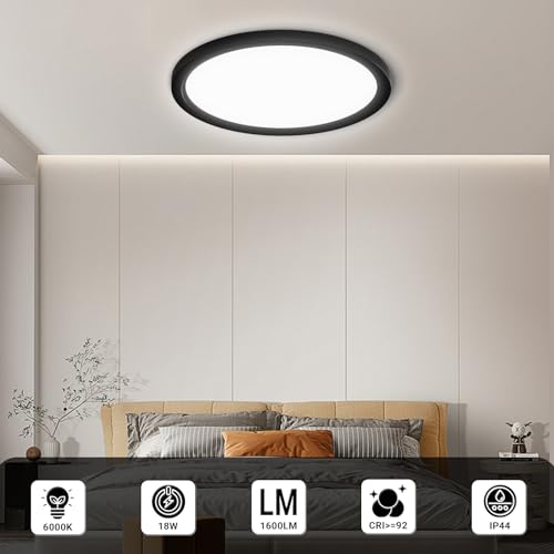 LQWELL® Ceiling Light LED Ceiling Lamp, IP44 Waterproof Bathroom Lamp Round Flat 18W 6000K 1600LM Modern Simple Lamp Thin for Living Room Bathroom Bedroom Kitchen Balcony Hallway Basement Office, 220 * 24mm