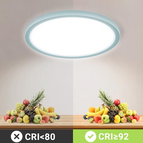 LQWELL® LED Ceiling Light, IP44 Waterproof Round Flush Mount Bathroom Light, 18W 6000K 1600LM Modern Minimalist Light Thin for Living Room, Bathroom, Bedroom, Kitchen, Basement, Office, 220 x 24 mm (Blue)